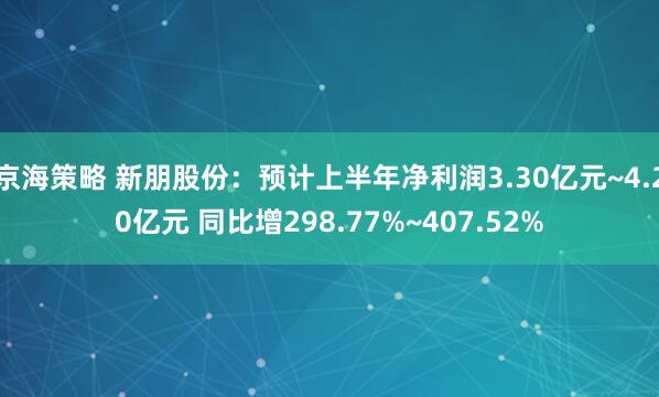 京海策略 新朋股份：预计上半年净利润3.30亿元~4.20亿元 同比增298.77%~407.52%