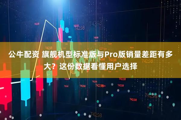 公牛配资 旗舰机型标准版与Pro版销量差距有多大？这份数据看懂用户选择