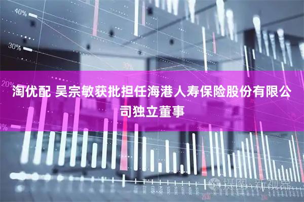 淘优配 吴宗敏获批担任海港人寿保险股份有限公司独立董事